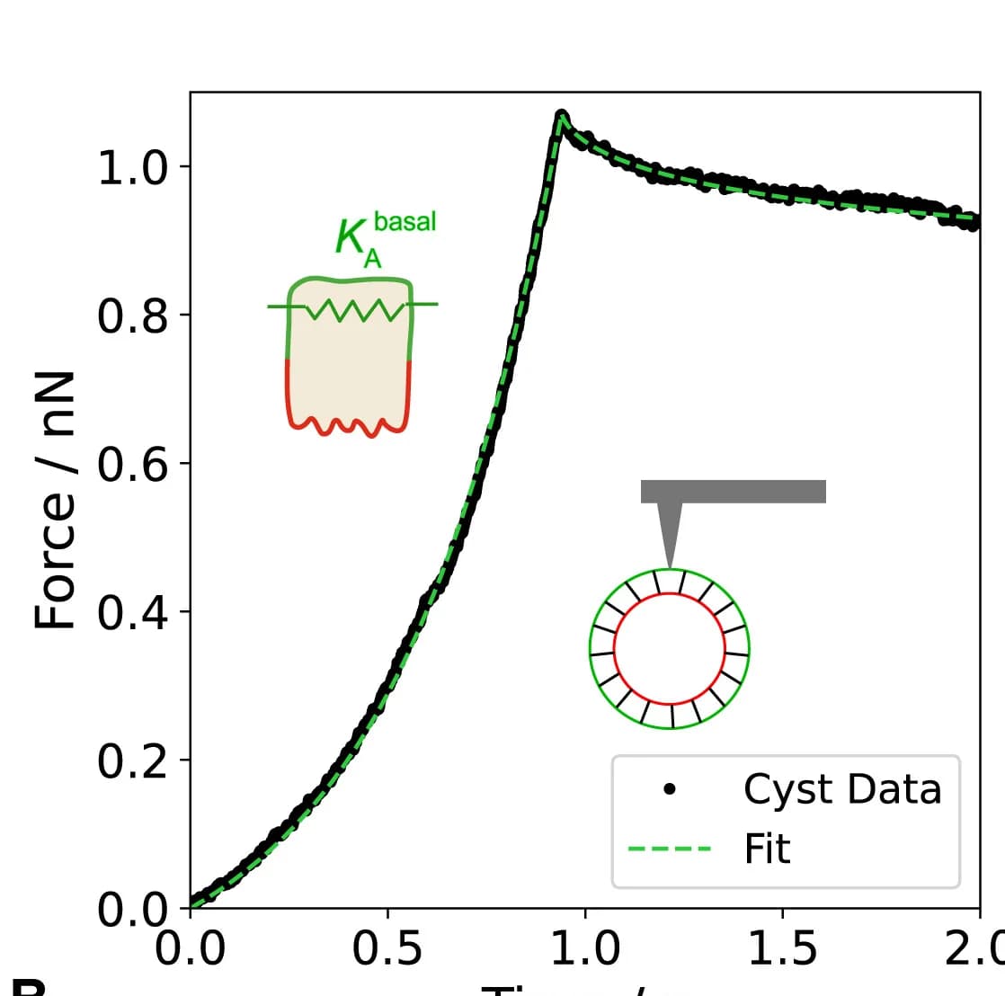 Open access visualization of Line Plot, Indentation-relaxation Data, Cysts, Cell Polarity, Mechanical Parameters