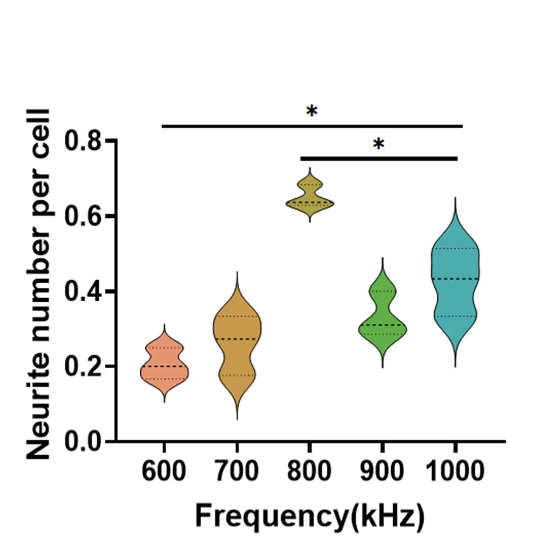 Open access visualization of Violin Plot, Neurite Number, Cell, Quantification, ANOVA
