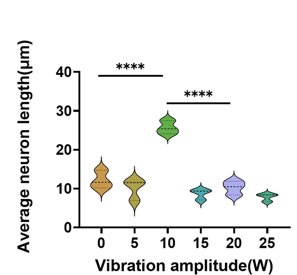 Open access visualization of Violin Plot, Neurite Length, Quantification