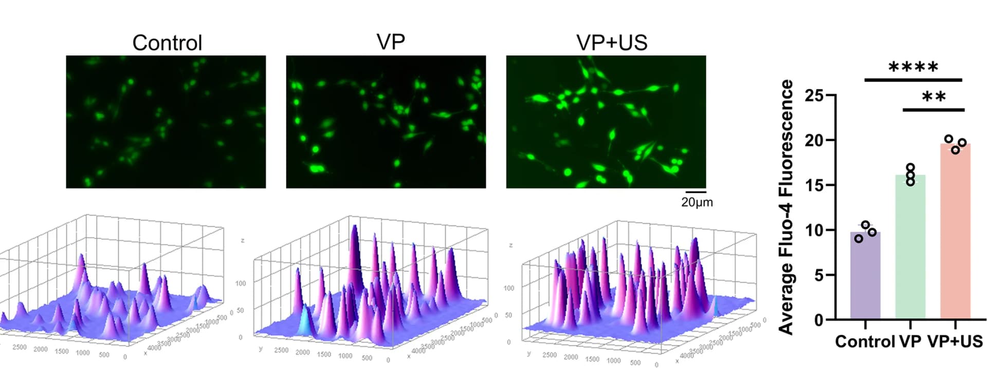Open access visualization of Bar Plot, Microscopy, 3D Plot, Fluorescence Images, 3D Thermograms
