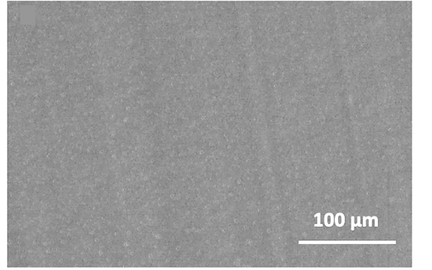 Open access visualization of Microscopy, SEM, Surface Morphology, SC Film