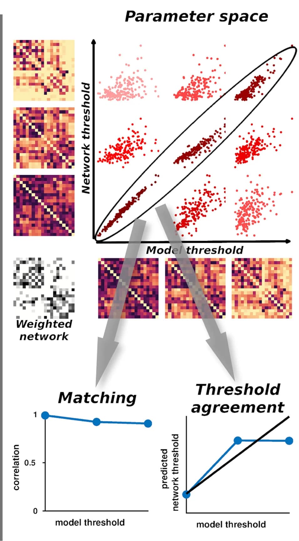 Open access visualization of Scatter Plot, Heatmap, Line Plot, Parameter Space, Coactivation Patterns