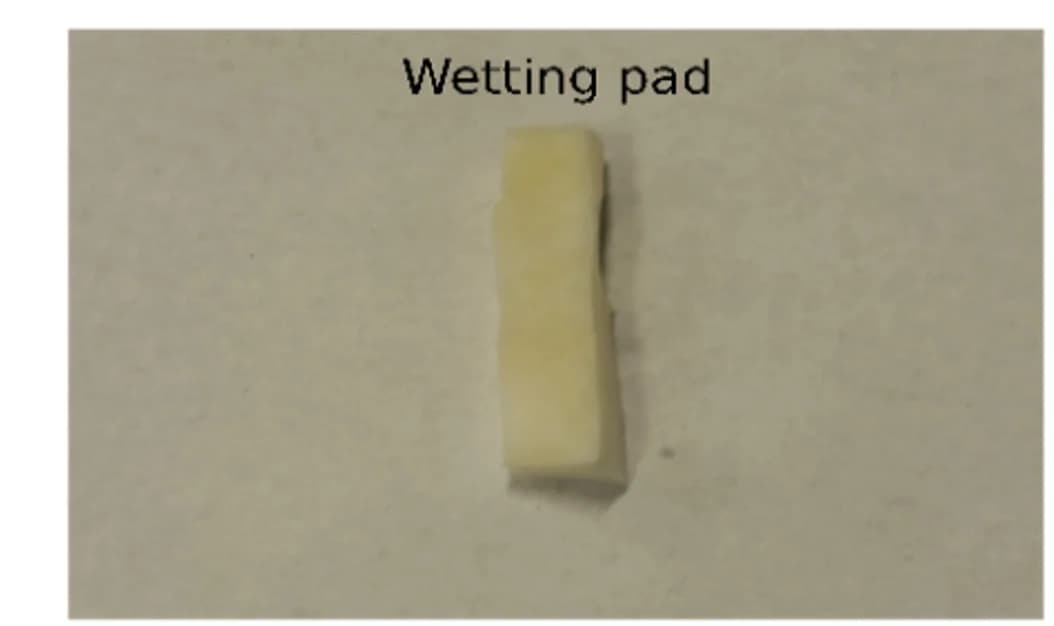 Open access visualization of Photo, Wetting Pad, Bacteria