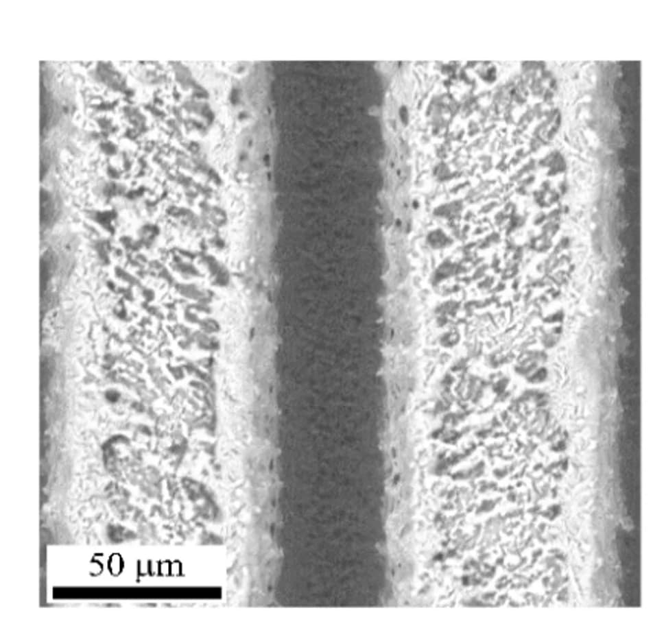 Open access visualization of Microscopy, SEM Images, POMC, Femtosecond-laser