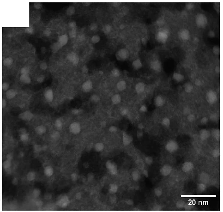 Open access visualization of Microscopy, Ni-Mo/MgO Catalyst, Catalyst, Scale Bar