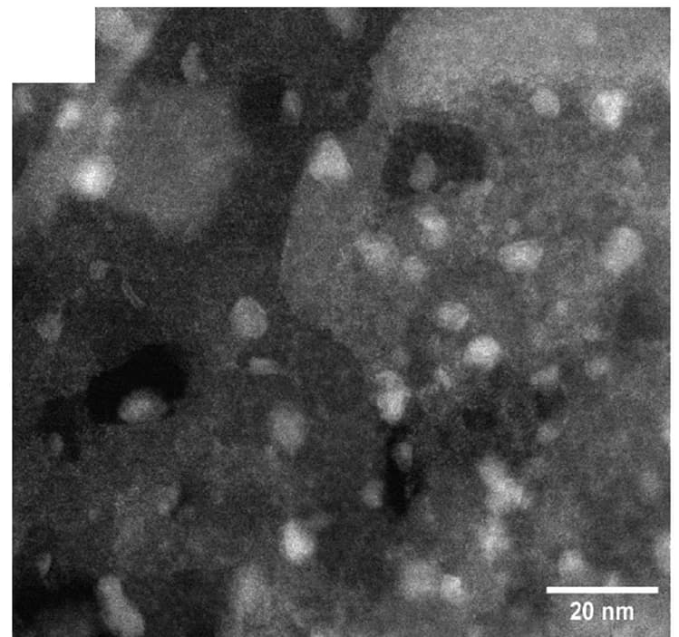 Open access visualization of Microscopy, Ni-Mo/MgO Catalyst, Catalyst, Scale Bar