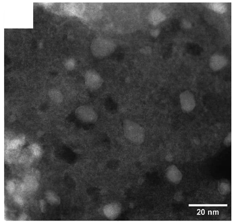 Open access visualization of Microscopy, Ni-Mo/MgO Catalyst, Catalyst, Scale Bar