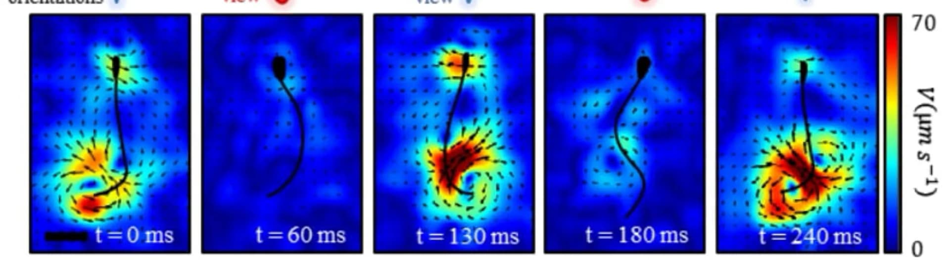 Open access visualization of Heatmap, Line Plot, Velocity Fields, PIV