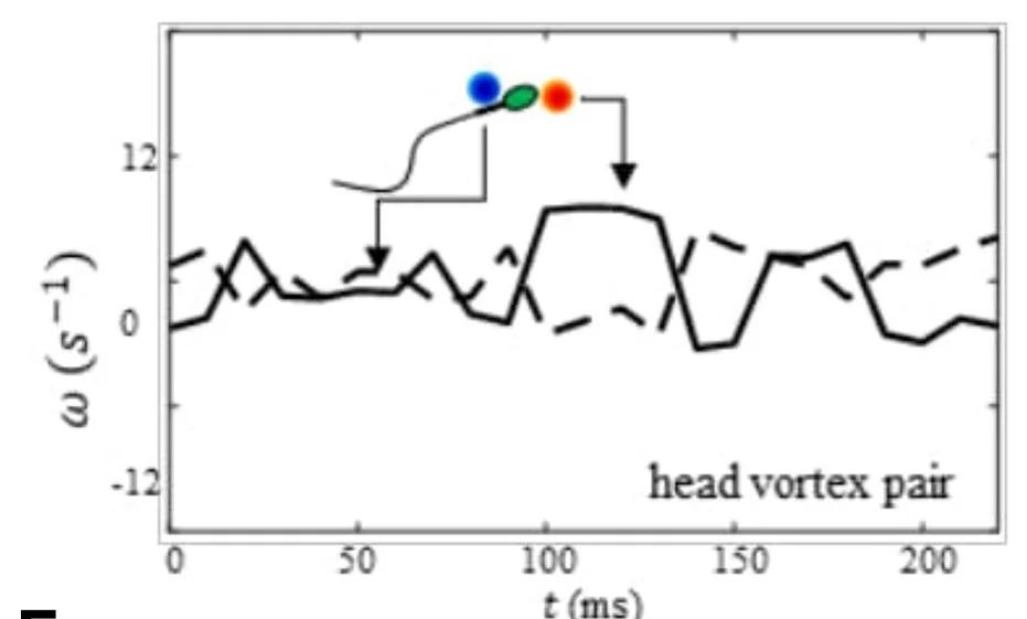 Open access visualization of Line Plot, Enstrophy, Sperm Head, Vorticity Fields, Rotational Direction