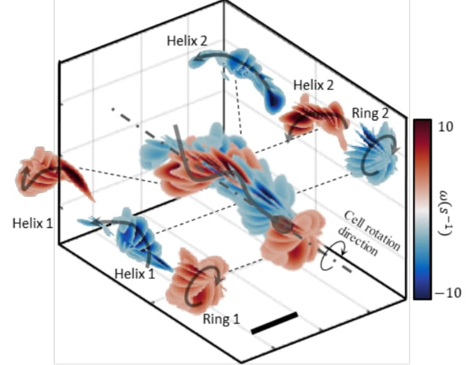 Open access visualization of 3D Plot, Vorticity Field, 3D Reconstruction, Vorticity Planes, Superhelix Vortices