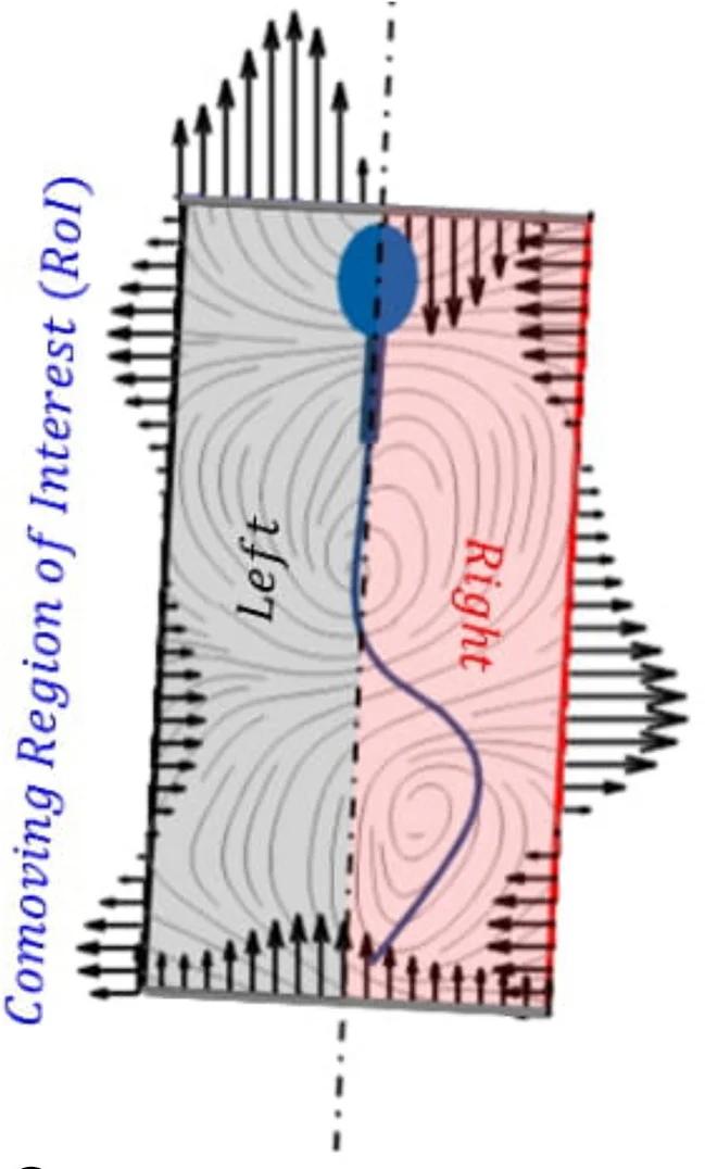 Open access visualization of Illustration, Sperm Head, Velocity Vectors, Flow Streamlines