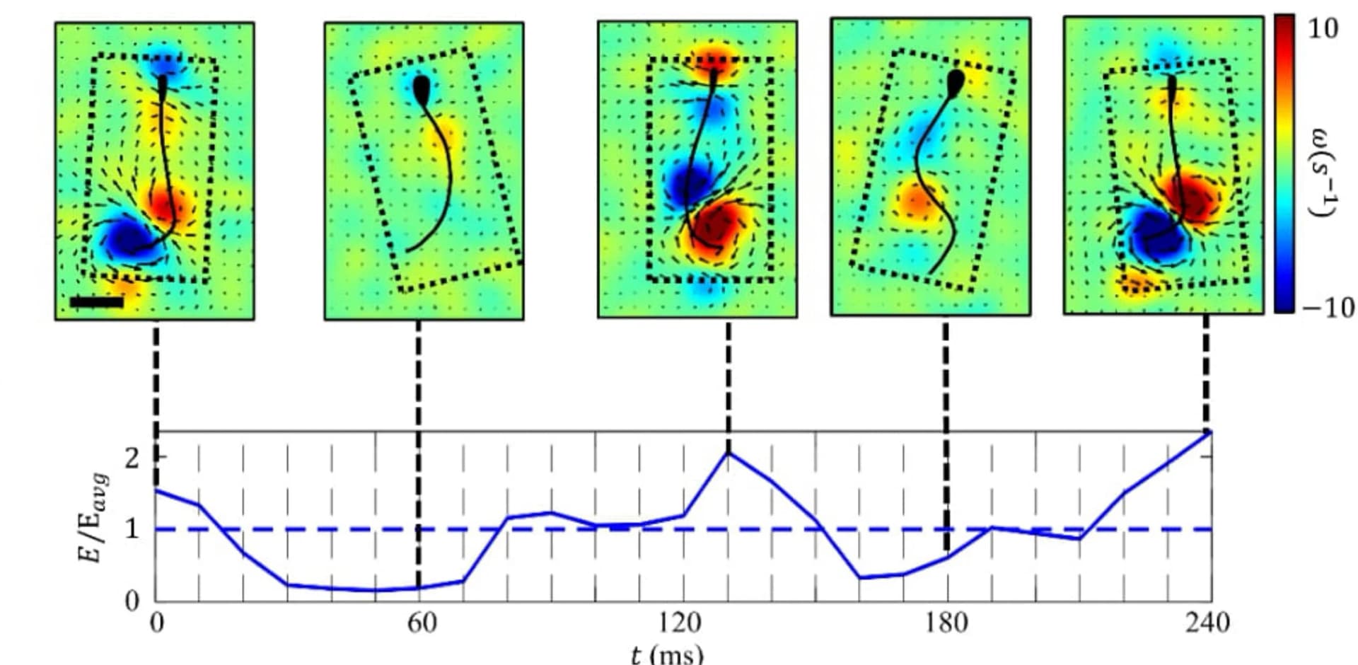 Open access visualization of Line Plot, Kinetic Energy, Sagittal Plane