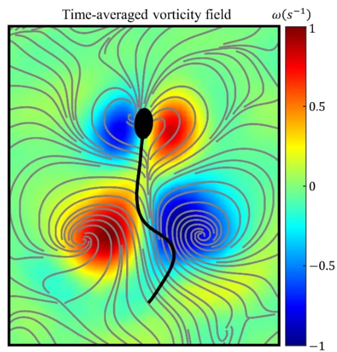 Open access visualization of Heatmap, Sperm, Vorticity Fields
