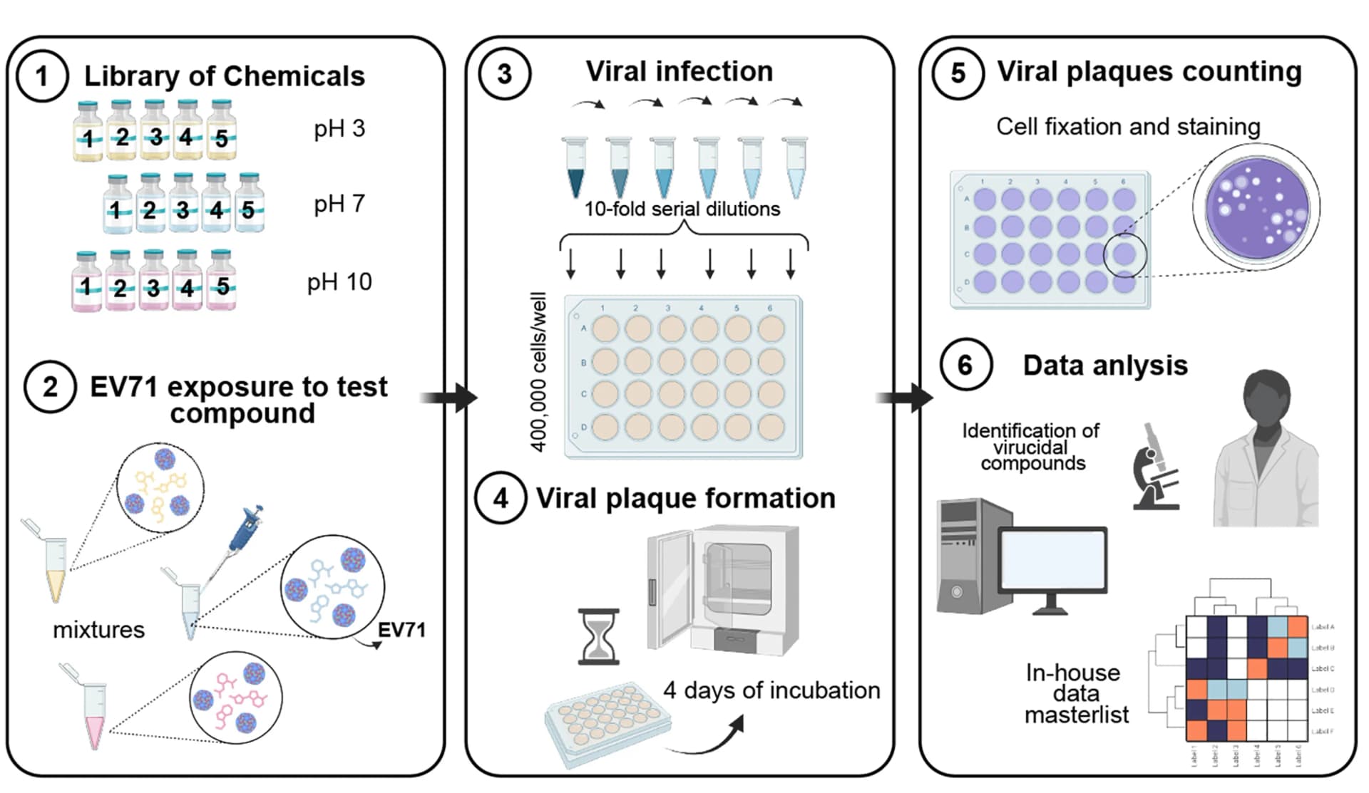 Open access visualization of Workflow, Heatmap, Clustered, Experimental Procedures, Low-Density Dataset