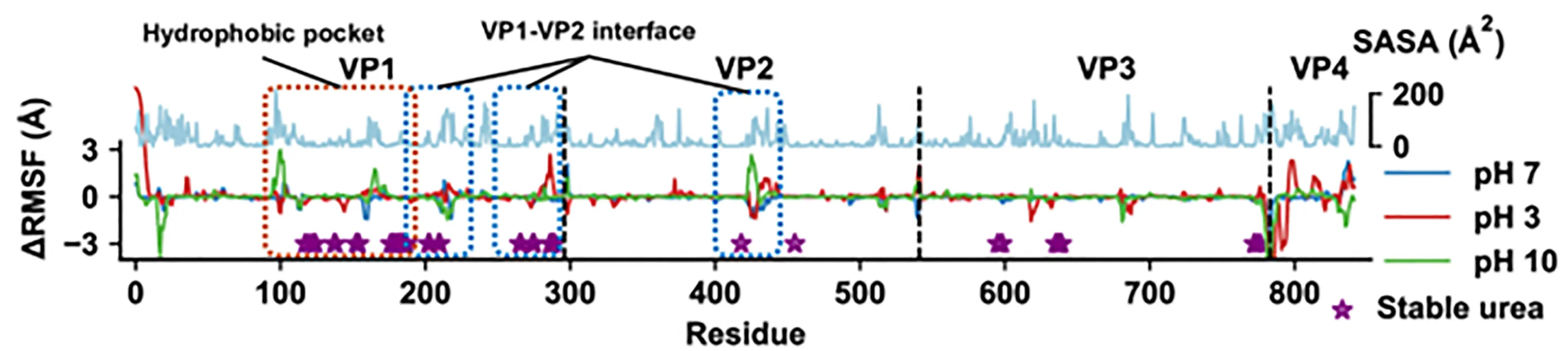 Open access visualization of Line Plot, SASA values, RMSF, EV71 pentamer, Protonation states
