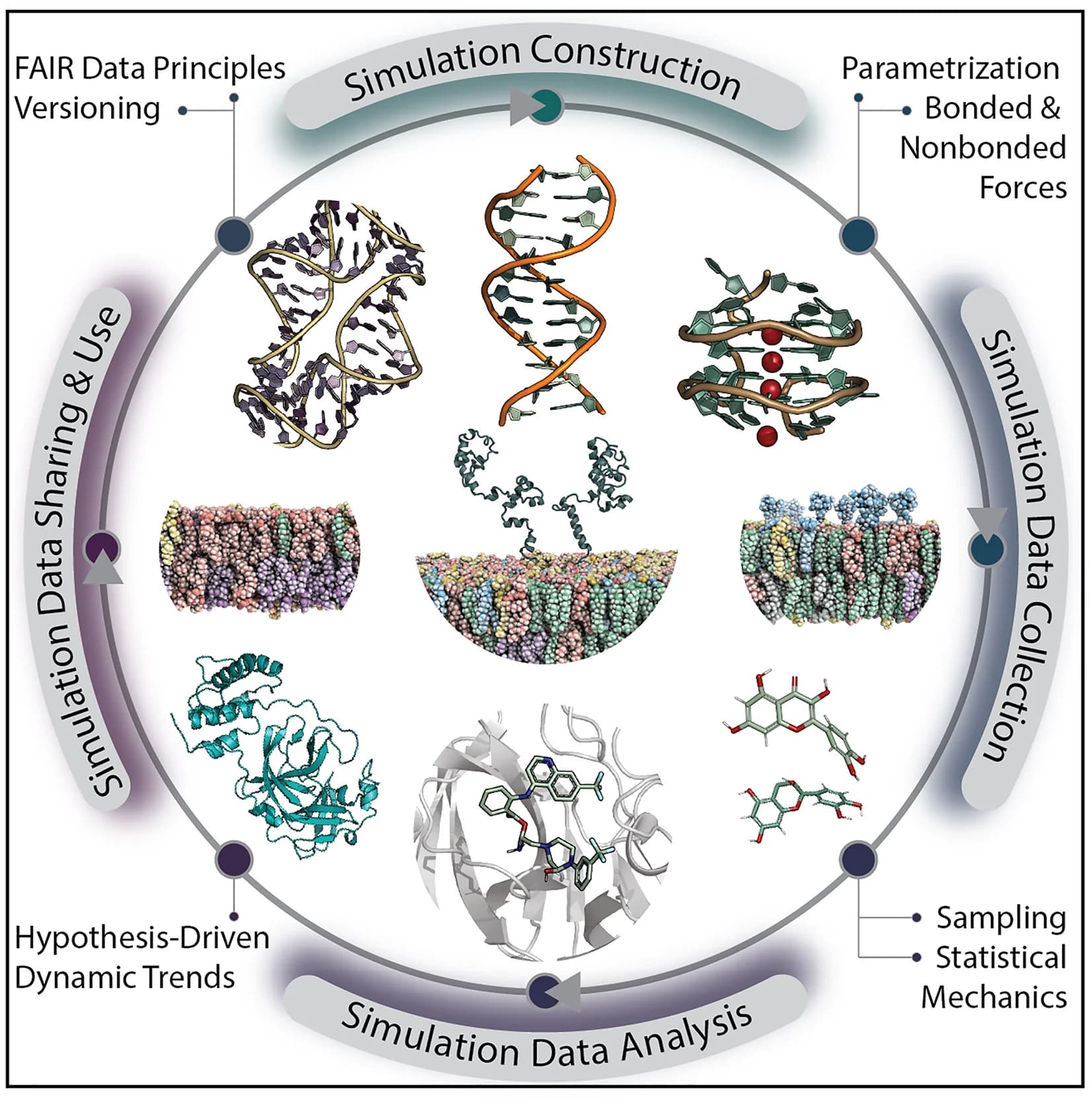 Open access visualization of Workflow, Illustration, Biomolecular Simulation, System Construction, Parametrization