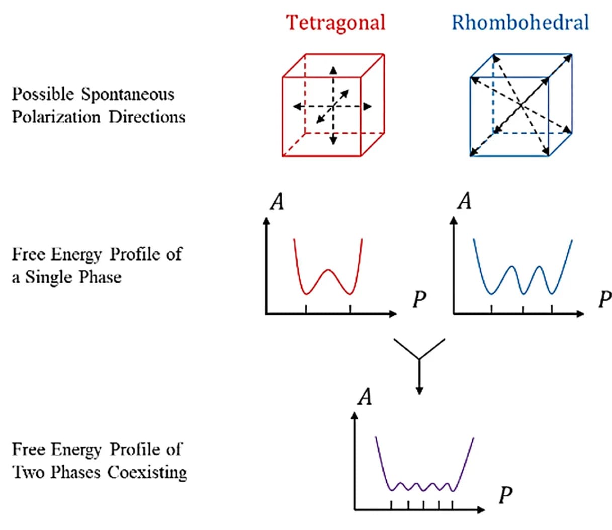 Open access visualization of Illustration, Line Plot, Polarization Configuration, Free Energy Profiles