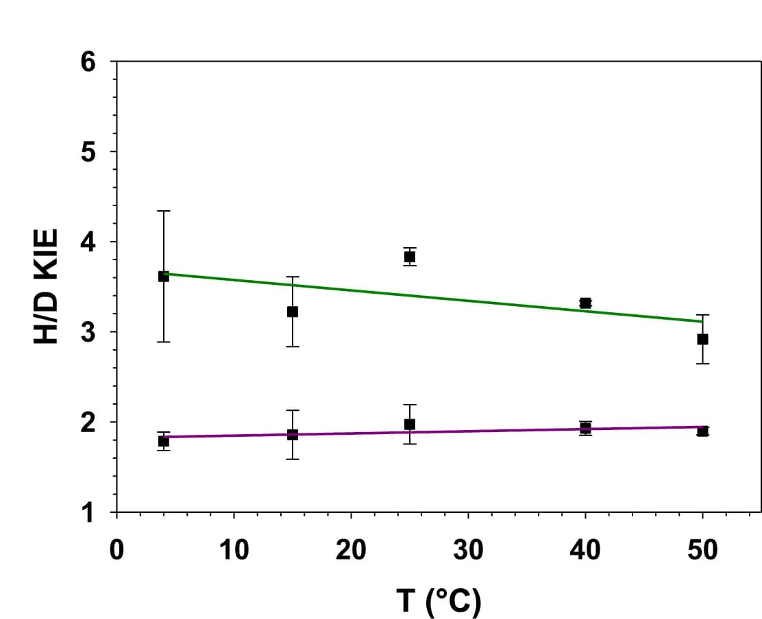 Open access visualization of Scatter Plot, Error Bars, Regression Plot, Wild-Type Enzyme, R88A Variant