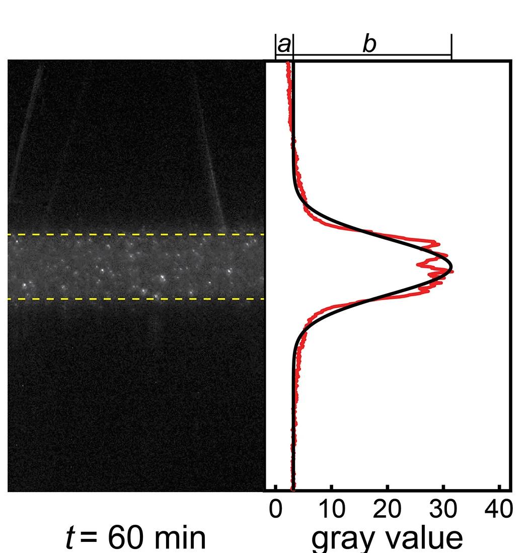 Open access visualization of Line Plot, Microscopy, Tyndall Scattering, Compression-Decompression, Bubbles