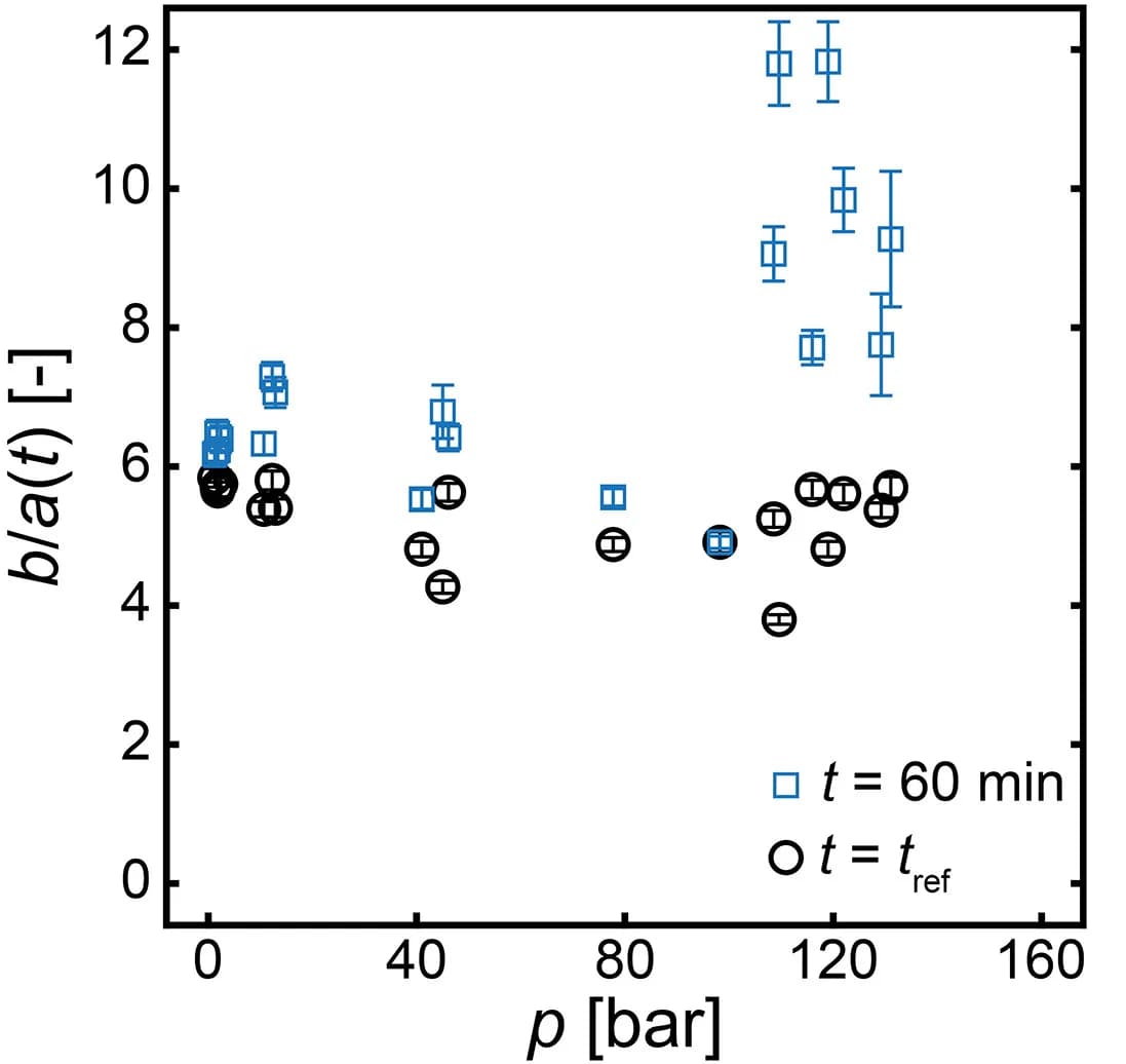 Open access visualization of Scatter Plot, Error Bars, Scattering Intensity, Nanobubble Suspension, Decompression