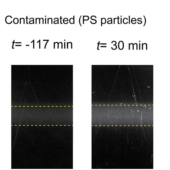 Open access visualization of Microscopy, Laser Light-Scattering, DI Water Nanoparticle Suspension, PS Nanoparticles, Cuvettes