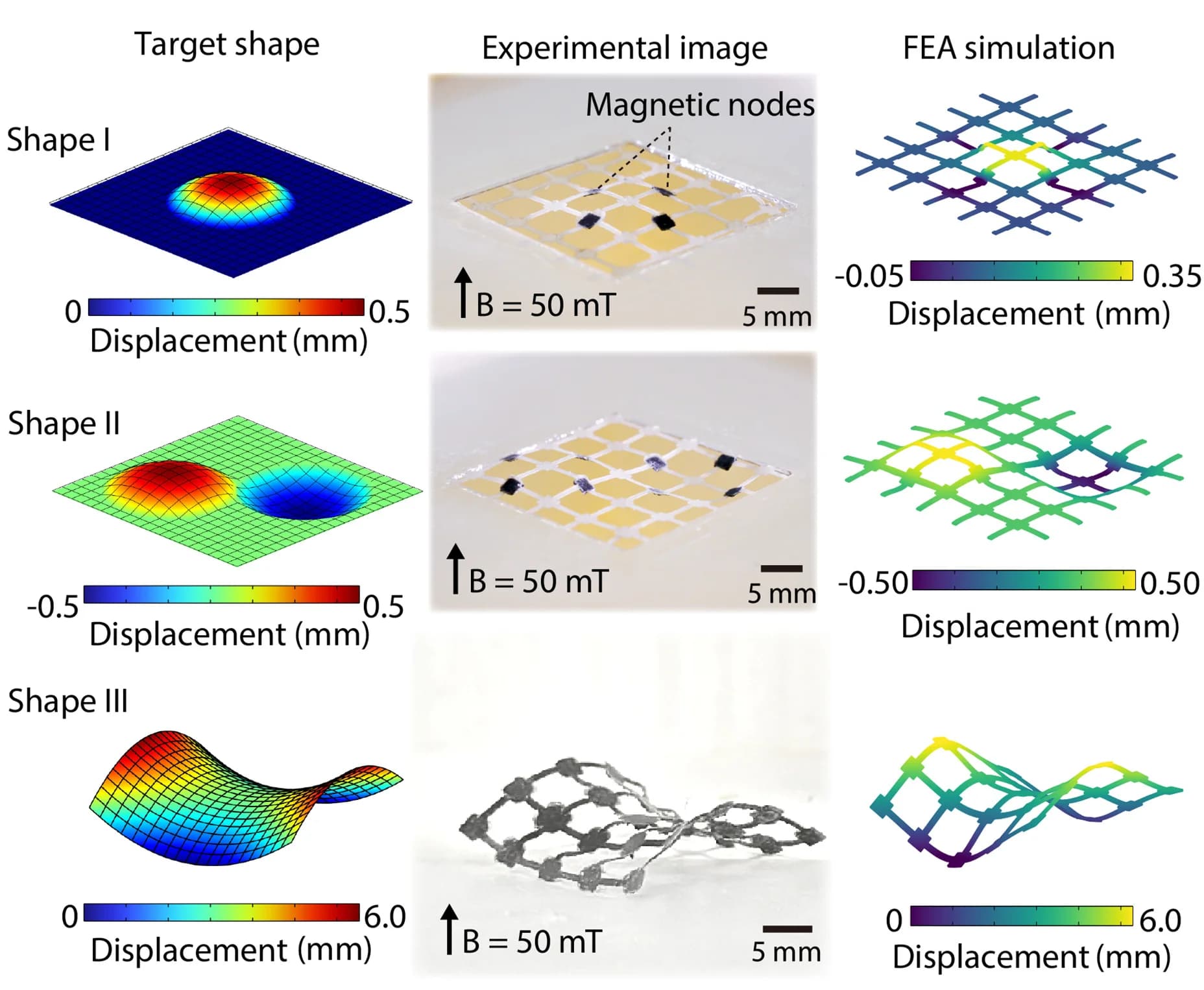 Open access visualization of 3D Plot, Photo, Magnetic Programmable Surfaces, Shape-Morphing