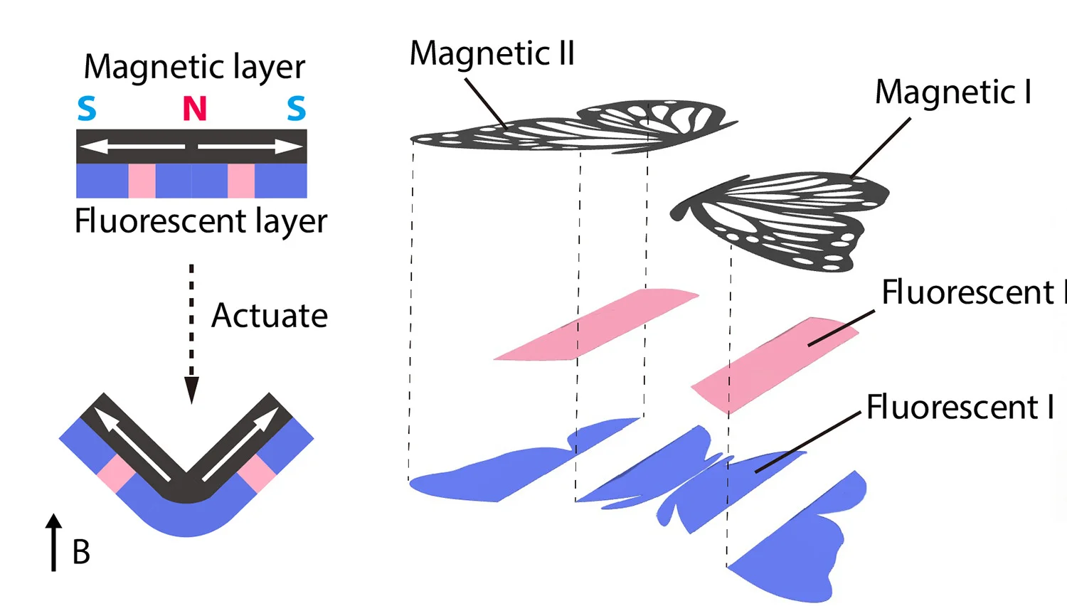 Open access visualization of Workflow, Illustration, Schematic, Layer Structure, Actuation