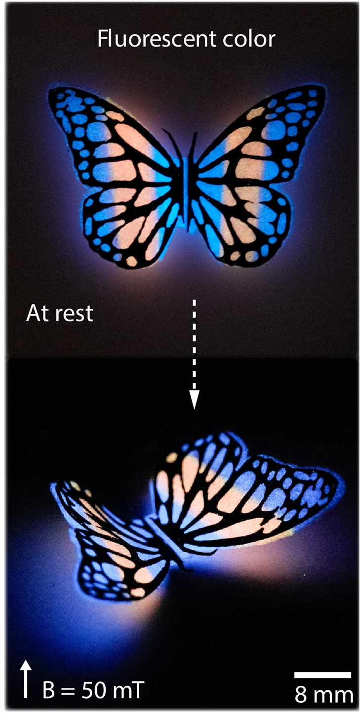 Open access visualization of Photo, Butterfly Robot, UV Light, Actuation