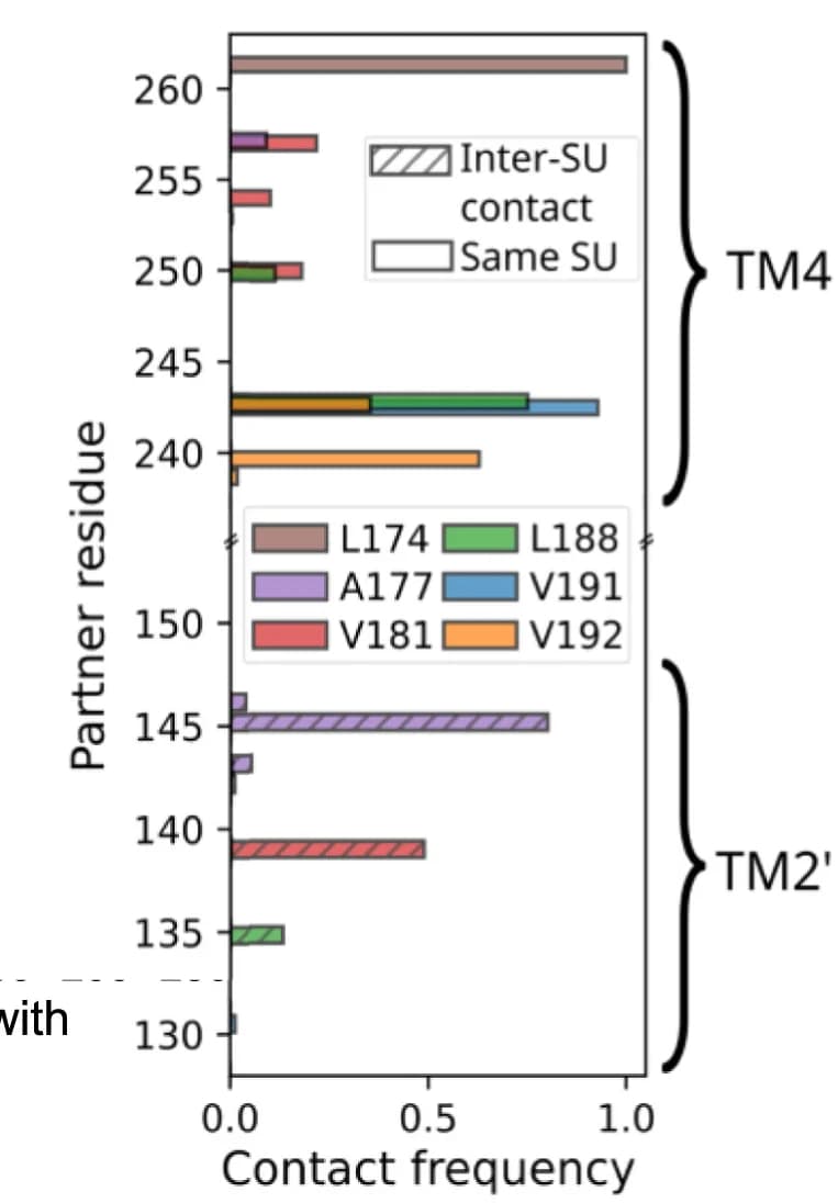 Open access visualization of Bar Plot, Contact Frequencies, Residues, TM2, TM4