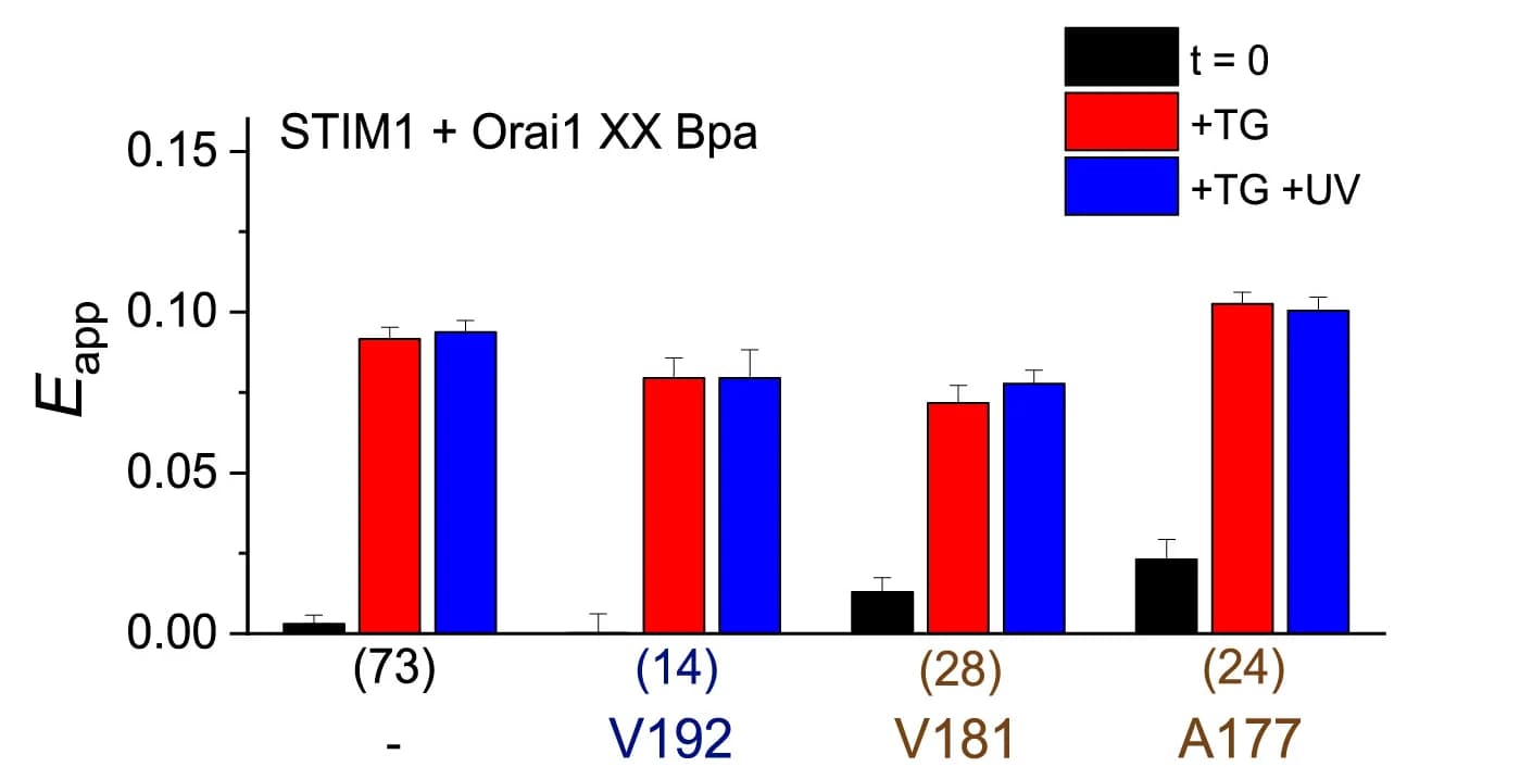 Open access visualization of Bar Plot, Error Bars, Clustered, Bar Diagrams, FRET Efficiency