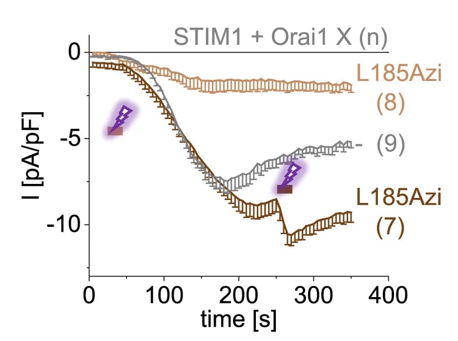Open access visualization of Line Plot, Error Bars, Time Courses, Ca2+ current densities, Whole-cell break-in