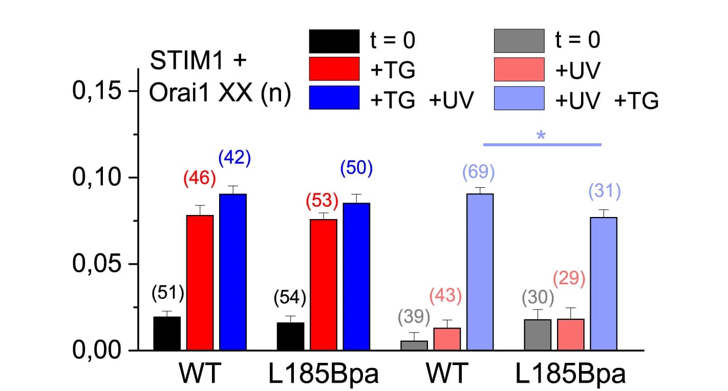 Open access visualization of Bar Plot, Error Bars, Clustered, Bar Diagrams, FRET Efficiency