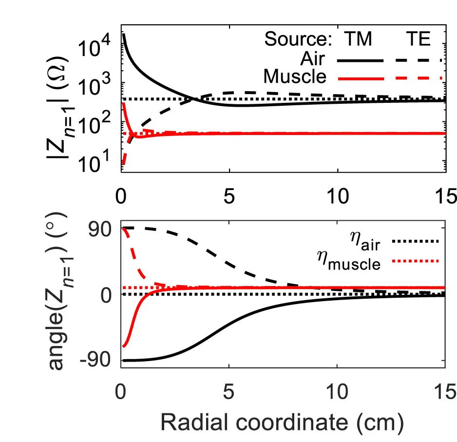 Open access visualization of Line Plot, Magnitude, Angle, Sources, TM Source