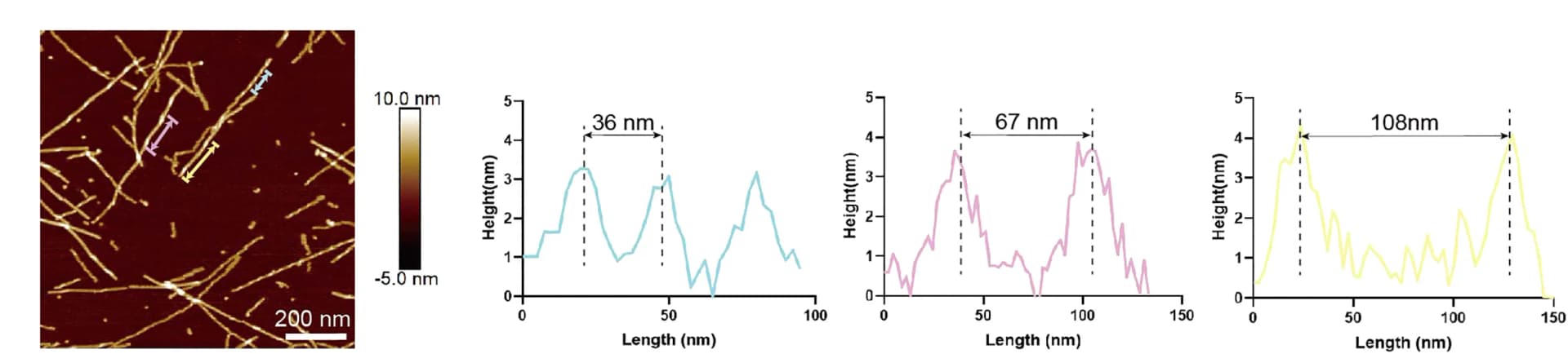 Open access visualization of Microscopy, Line Plot, AFM Image, GDVIEV Fibrils, Fibril Polymorphs