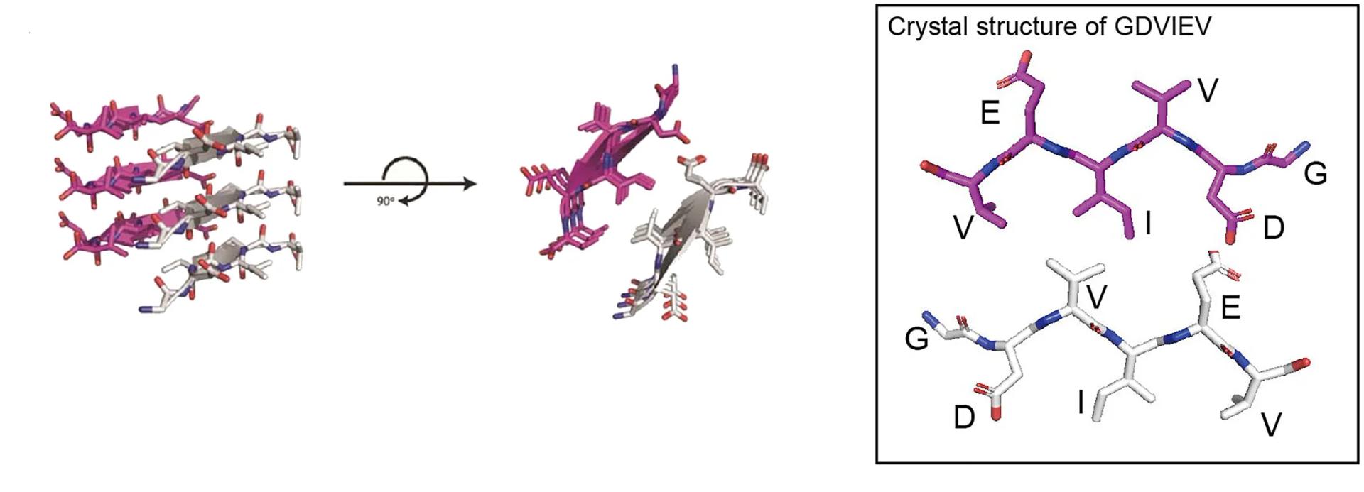 Open access visualization of Protein Structure, Chemical Structure, Crystal Structure, GDVIEV, Beta Sheets