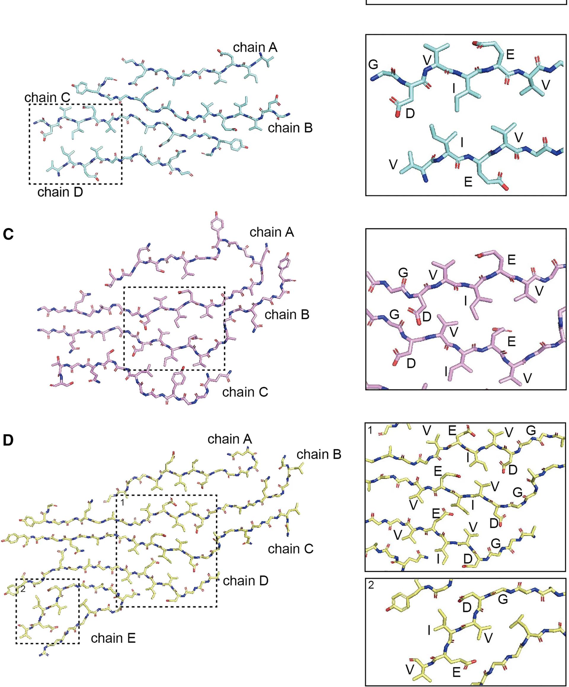 Open access visualization of Protein Structure, Chemical Structure, GDVIEV, Polymorphs, Fibrils