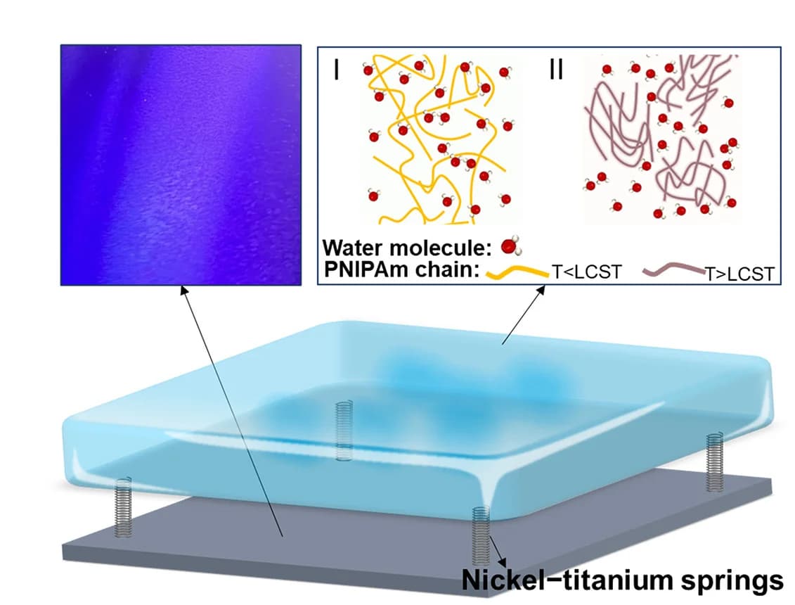 Open access visualization of Illustration, DTR Device, PNIPAm Chain