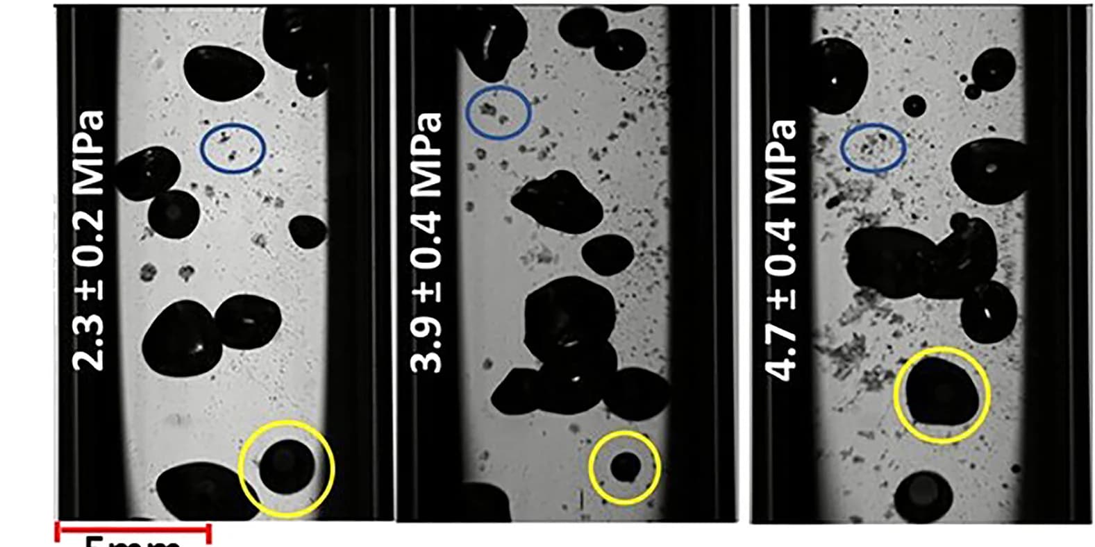 Open access visualization of Photo, Pulse Amplitude, Cavitation Activity, High-Speed Camera Images