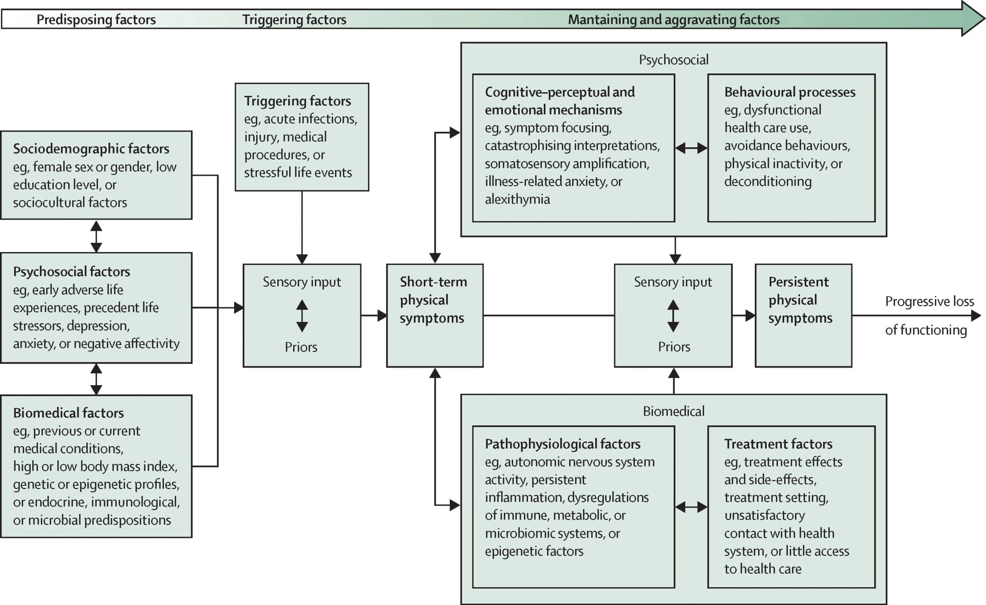 Open access visualization of Workflow, Flowchart, Working Model, Risk Factors, Sociodemographic Factors