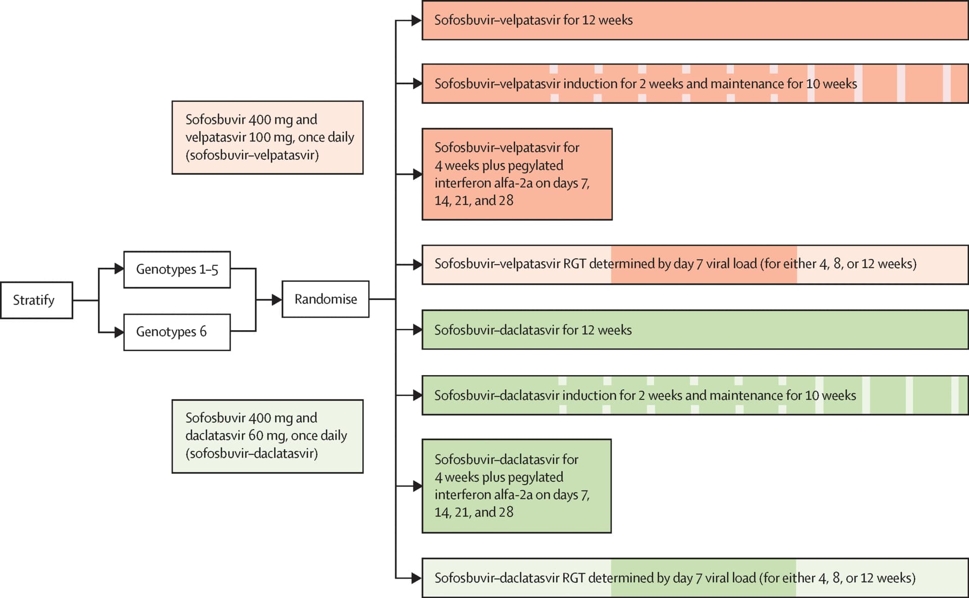 Open access visualization of Workflow, Flowchart, Random Assignment, Viral Genotype, Response Guided Therapy