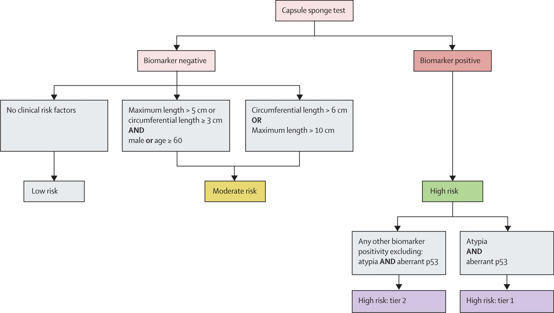Open access visualization of Workflow, Flowchart, Capsule-sponge Biomarker, Aberrant p53, Equivocal p53