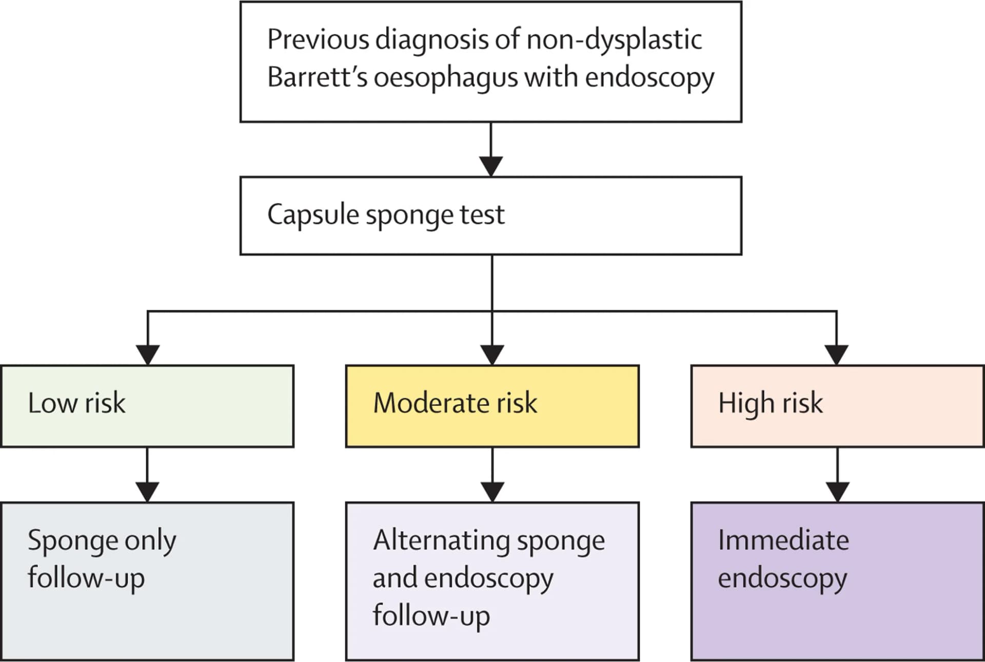 Open access visualization of Workflow, Flowchart, Capsule Sponge, Endoscopy, Surveillance