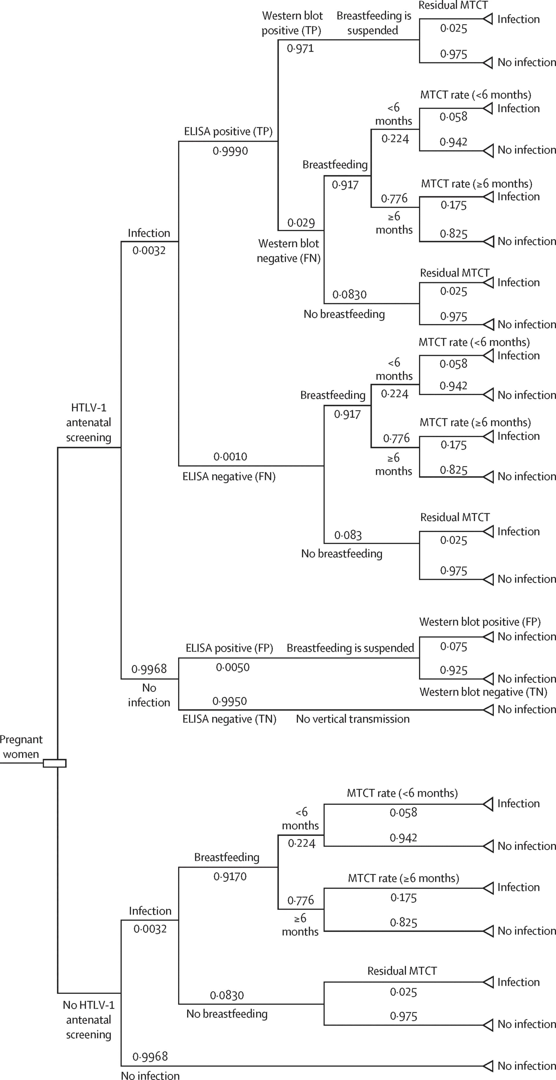 Open access visualization of Flowchart, HTLV-1, Antenatal Screening, Postnatal Interventions, ELISA
