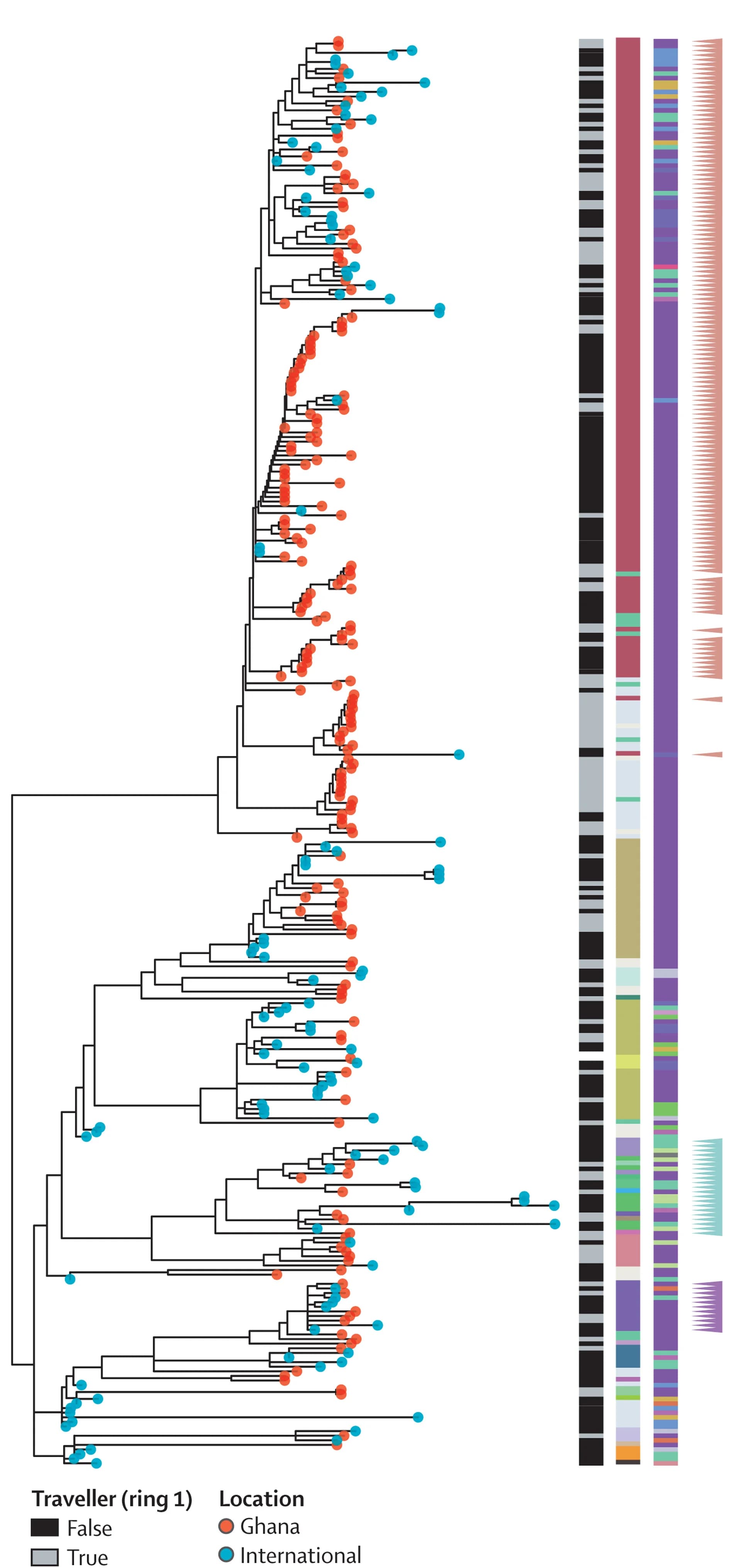 Open access visualization of Network, Pathway, Bar Plot, Stacked Bar Plot, Phylogenetic Tree