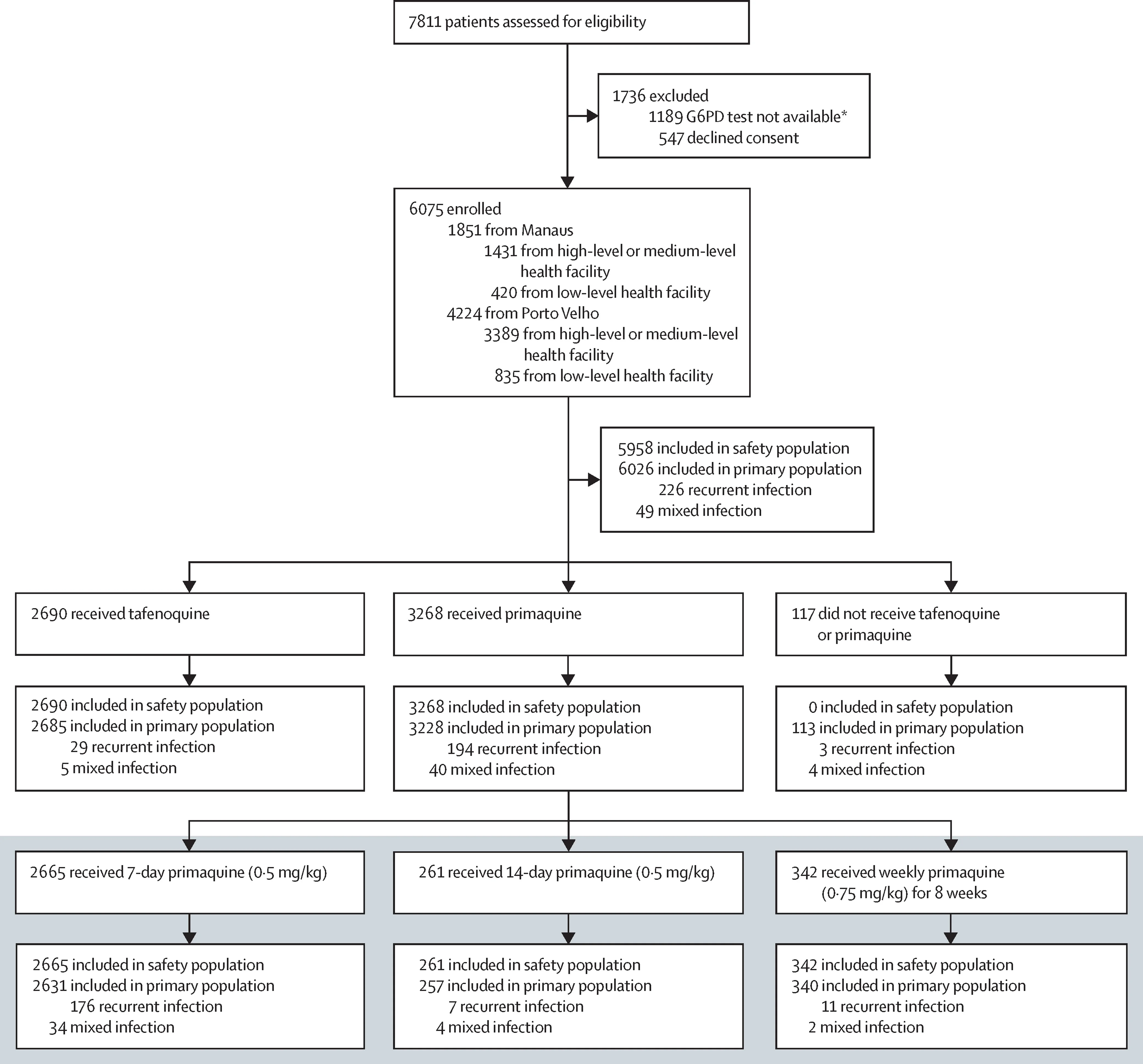 Open access visualization of Flowchart, Plasmodium Vivax, Monotherapy, Malaria, Mixed Infection