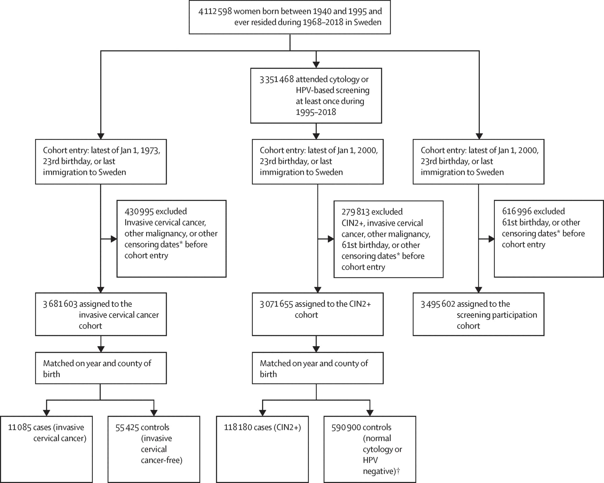 Open access visualization of Workflow, Flowchart, CIN2, High-grade precancerous cervical lesions, HPV