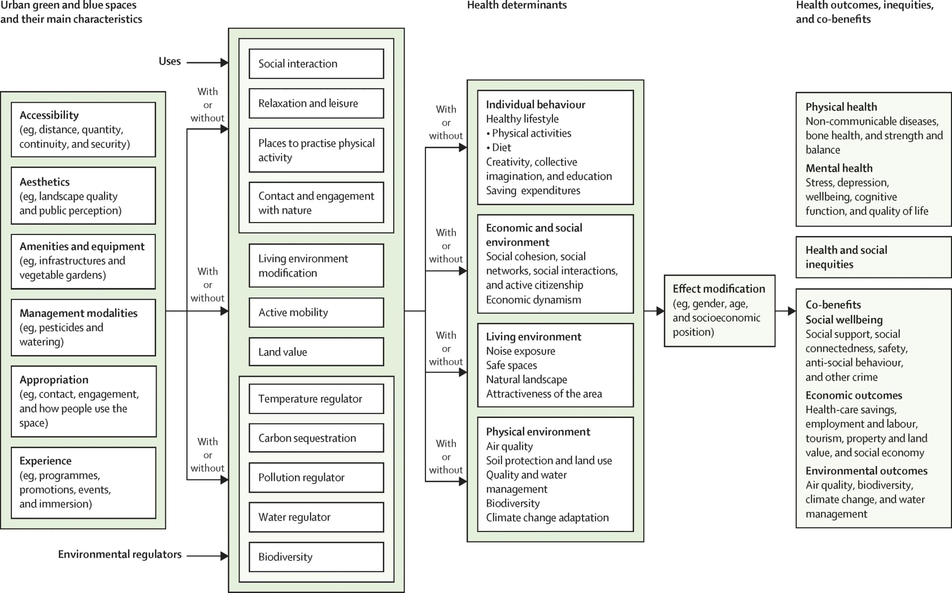 Open access visualization of Workflow, Flowchart, Illustration, Immunofluorescence, Tonsil