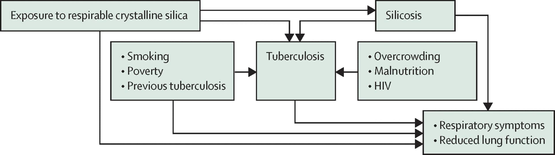 Open access visualization of Workflow, Flowchart, Silica Exposure, Silicosis, Tuberculosis