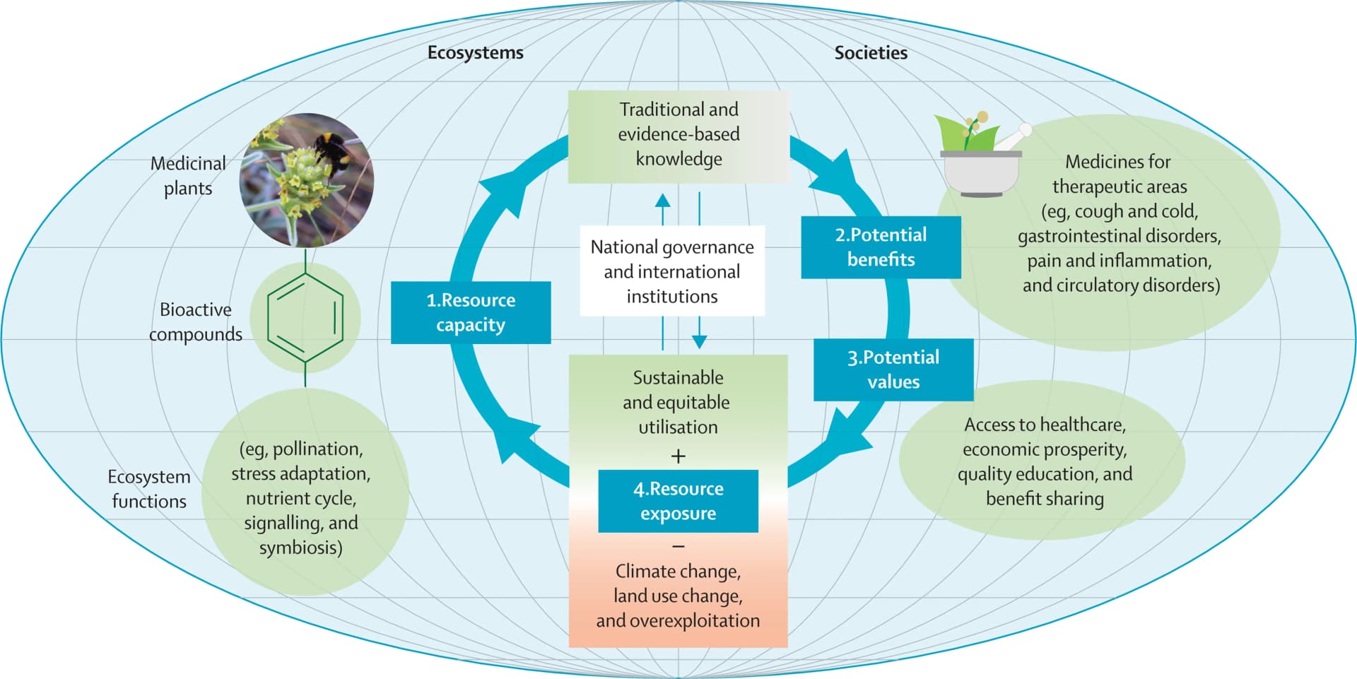Open access visualization of Workflow, Flowchart, Illustration, Ecosystems, Human Societies
