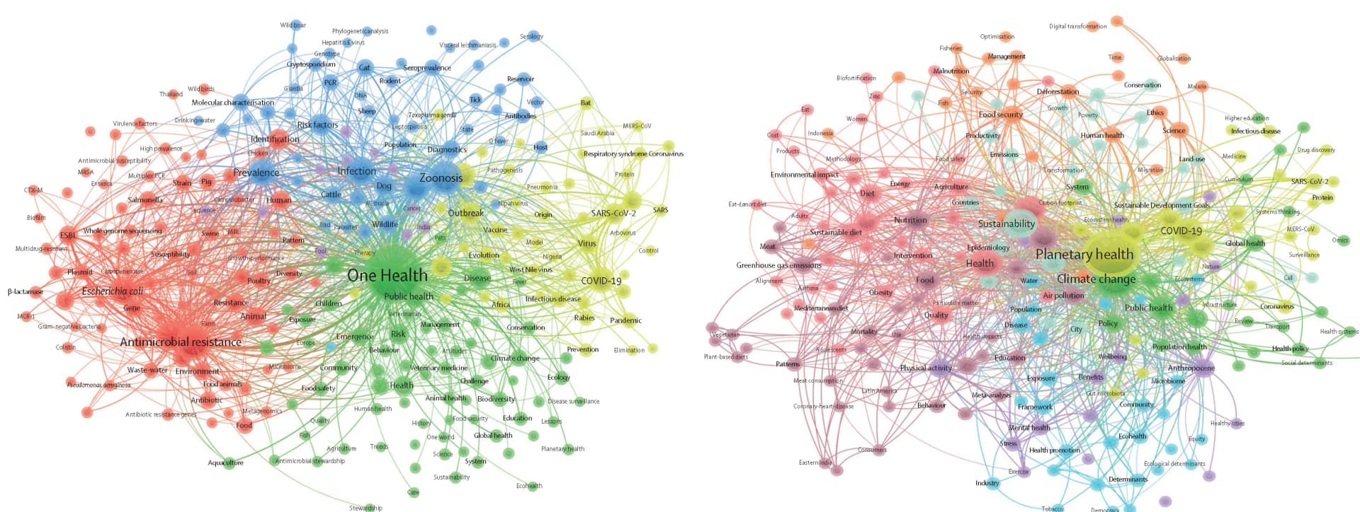 Open access visualization of Network, Pathway, One Health, Planetary Health, Research Topics